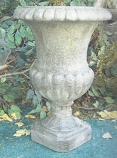 Photo of Greek Urn - Marquis Gardens
